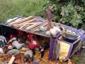 Truk Muatan Jeruk Terguling di Batanghari, Warga Malah Menjarah
