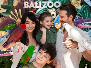 5 Tips Sebelum Berkunjung ke Bali Zoo, Destinasi Favorit Keluarga di Bali