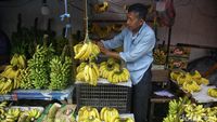Buah Favorit Ramadan, Pisang Kini Langka di Pasaran
