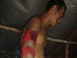 Detik-detik Mencekam saat Pencari Sagu Diterkam Harimau di Siak