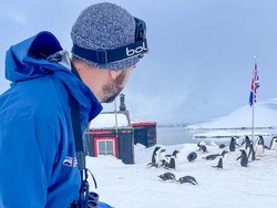 Kantor Pos di Ujung Dunia Cari Pekerja Sortir Surat dan Hitung Penguin