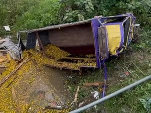 Truk Muatan Jeruk Terguling di Batanghari Dijarah Warga, Pemilik Legawa