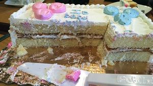 Zonk! 10 Gender Reveal Pakai Kue Berujung Gagal Total