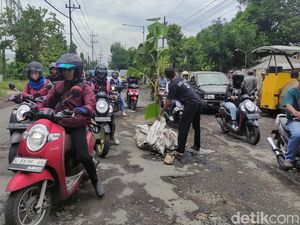 Protes Jalan Rusak, Warga Sidoarjo Tanam Pohon Pisang di Tengah Jalan Kletek