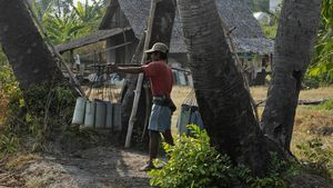 Senja Kala Pengumpul Nira di Kamboja
