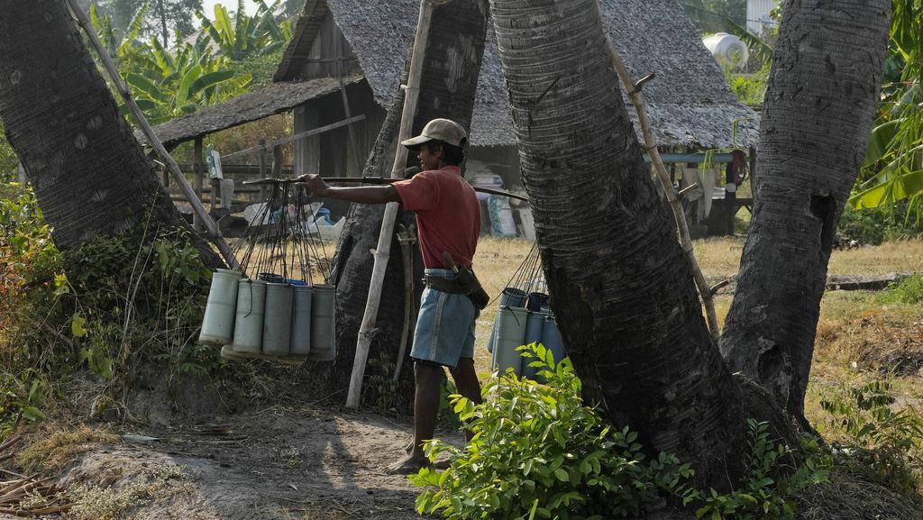 Senja Kala Pengumpul Nira di Kamboja Senja Kala Pengumpul Nira di Kamboja