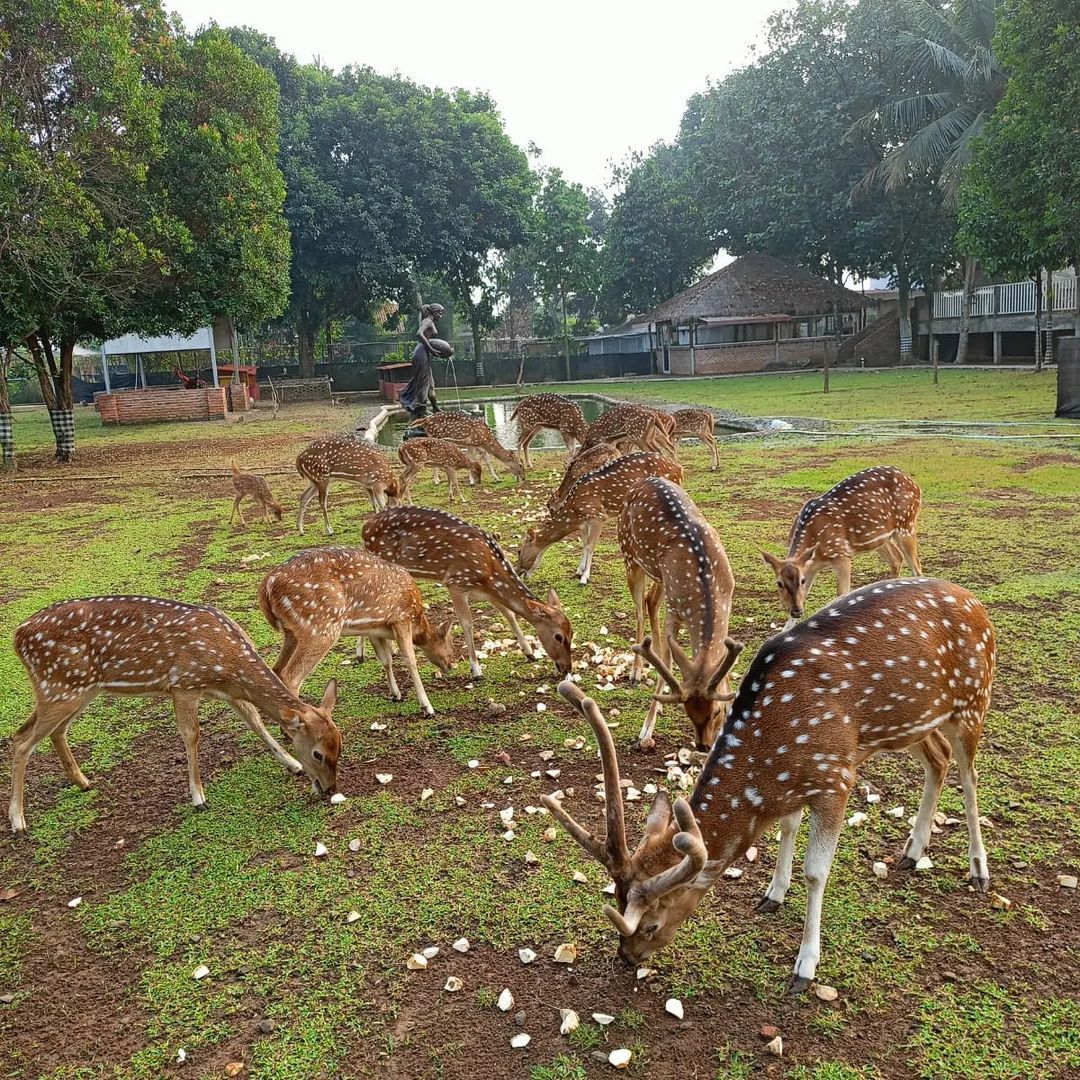 Tempat Bukber di Depok yang Kids Friendly