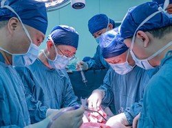 Deretan Organ Babi yang Pernah Dicangkokkan ke Manusia, Jantung hingga Hati