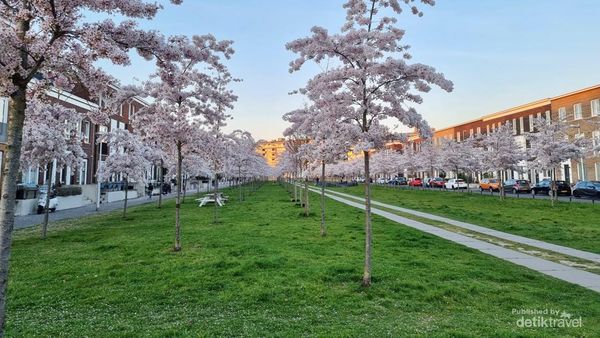 Potret Indonesia Kecil Saat Buka Bersama di Utrecht