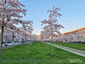 Potret Indonesia Kecil Saat Buka Bersama di Utrecht Potret Indonesia Kecil Saat Buka Bersama di Utrecht