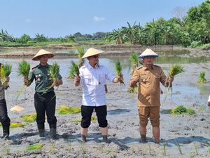 Kementan Beri Bantuan Petani Kembangkan Lahan Tadah Hujan di Lamongan Kementan Beri Bantuan Petani Kembangkan Lahan Tadah Hujan di Lamongan