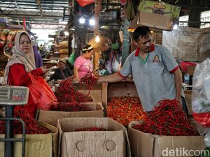 Harga Cabai Turun, Begini Hiruk-pikuk Pedagang di Pasar Kramat Jati Harga Cabai Turun, Begini Hiruk-pikuk Pedagang di Pasar Kramat Jati