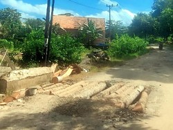 Jalan Ciawet-Puncak Suji Sukabumi Rusak, Lubang Ditambal Pohon Kelapa