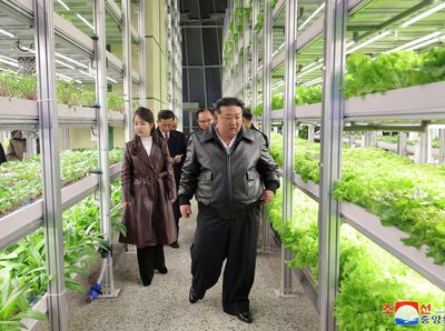 Potret Kim Jong Un dan Putrinya Ju Ae Kunjungi Rumah Kaca Gangdong