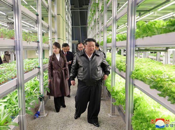 Potret Kim Jong Un dan Putrinya Ju Ae Kunjungi Rumah Kaca Gangdong