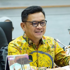 Ace Hasan Syadzily