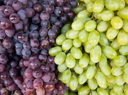 Sederet Fakta & Perbedaan Anggur Muscat dengan Anggur Merah