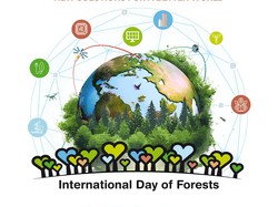 Hari Hutan Sedunia 2024: Tema, Logo, dan Sejarah Peringatannya