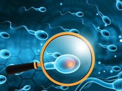 Peneliti Temukan COVID-19 Bisa Bertahan di Sperma selama 110 Hari