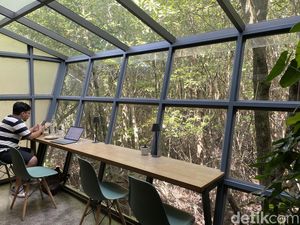 Kafe Estetik di Tuban, Punya View Hutan Mangrove Kafe Estetik di Tuban, Punya View Hutan Mangrove
