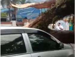 Pohon Tumbang Timpa Mobil di Medan Akibat Hujan Deras dan Angin Kencang