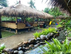 5 Tempat Makan Konsep Ndeso Viral, Cocok Buat Nostalgia Kampung