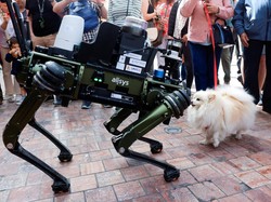 Polisi Spanyol Turunkan Robot Anjing untuk Pantau Situasi Jalanan