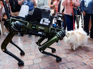 Polisi Spanyol Turunkan Robot Anjing untuk Pantau Situasi Jalanan Polisi Spanyol Turunkan Robot Anjing untuk Pantau Situasi Jalanan