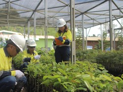 Anak Usaha Merdeka Copper Serius Garap Nursery untuk Sukseskan Reklamasi
