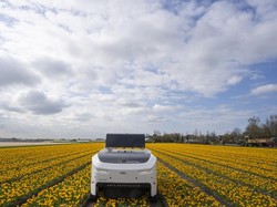 5 Robot Ini Bisa Bantu Pekerjaan Manusia, Kirim Barang-Penyelamatan Bencana