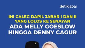 Ini Caleg Yang Lolos ke Senayan dari Dapil Neraka Jabar I dan II