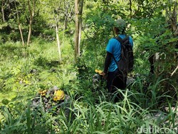 Monyet Ekor Panjang Teror Petani Purwodadi, Ini Langkah DLH Gunungkidul