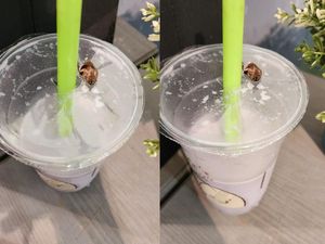 Apes! Minum Susu Kedelai Dapat Bonus Seekor Kecoa Apes! Minum Susu Kedelai Dapat Bonus Seekor Kecoa