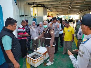 Balai Karantina Gorontalo Gagalkan Penyelundupan 180 Ekor Bangkai Tikus