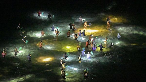 Berburu Cacing Jelmaan Putri Mandalika di Festival Bau Nyale