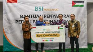 BSI Salurkan Bantuan untuk Palestina