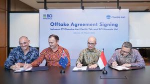 Chandra Asri Pacific Beli Garam BCI Minerals Ltd