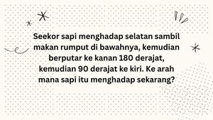 Cuaca Panas Terik Bikin Nggak Bisa Mikir? Bisa Jadi, Coba Buktikan di Sini