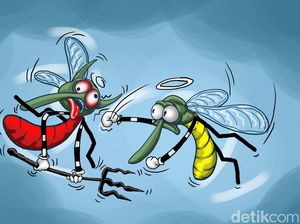 Kendala di Balik Wolbachia