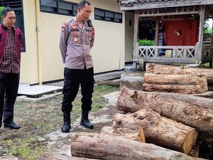81 Batang Kayu Jati Ilegal di Bondowoso Diamankan, Pemilik Kabur 81 Batang Kayu Jati Ilegal di Bondowoso Diamankan, Pemilik Kabur