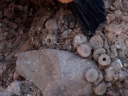 Fakta Temuan Manik-manik Berusia 11 Ribu Tahun