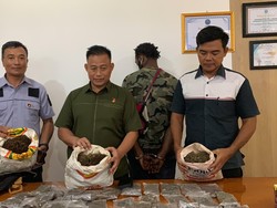 2 Warga Papua Nugini Selundupkan Ganja di Jayapura Ditangkap