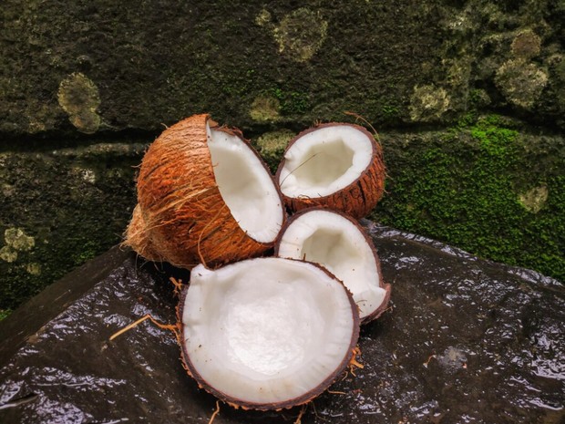 Potret buah kelapa