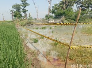 Kembali Berjuang Lawan Muntahan Lumpur Sumur Minyak Eks Belanda Kembali Berjuang Lawan Muntahan Lumpur Sumur Minyak Eks Belanda