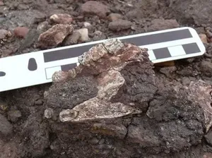 Arkeolog Dunia Arab Dilarang Ganggu Kuburan Muslim