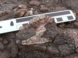 Arkeolog Dunia Arab Dilarang Ganggu Kuburan Muslim