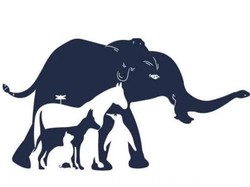 Tes Kejelian: Cari Semua Hewan Tersembunyi dalam 15 Detik!