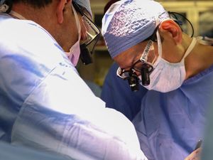 Dunia Hari Ini: Amerika untuk Pertama Kalinya Mentransplantasikan Ginjal Babi