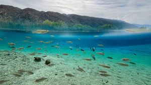 Oasis Meksiko yang Kaya Keanekaragaman Hayati Terancam Lenyap