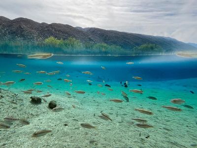 Oasis Meksiko yang Kaya Keanekaragaman Hayati Terancam Lenyap